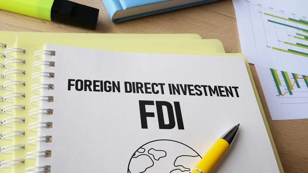 Govt issues updated SOPs on FDI proposals fixing 12-week timeline, paperless process