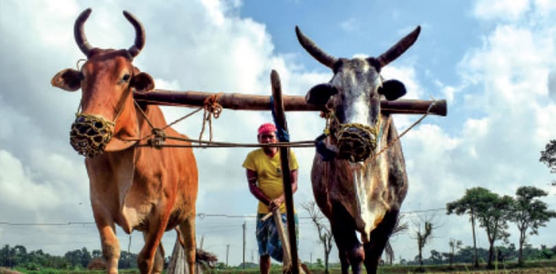 Agriculture Minister message to emphasize organic farming along with increasing kharif production