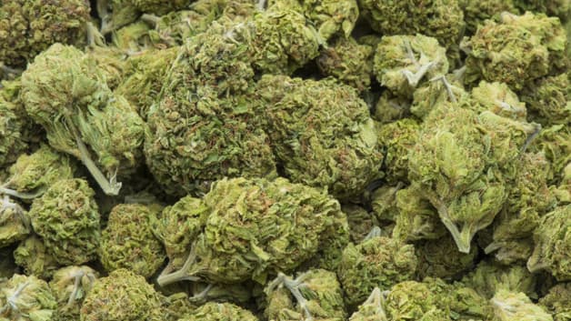 148 kg of marijuana seized from ambulance with Indian number plate