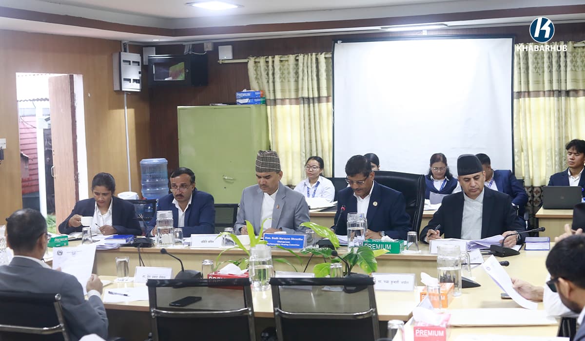 Parliamentary hearing begins for 13 proposed ambassadors
