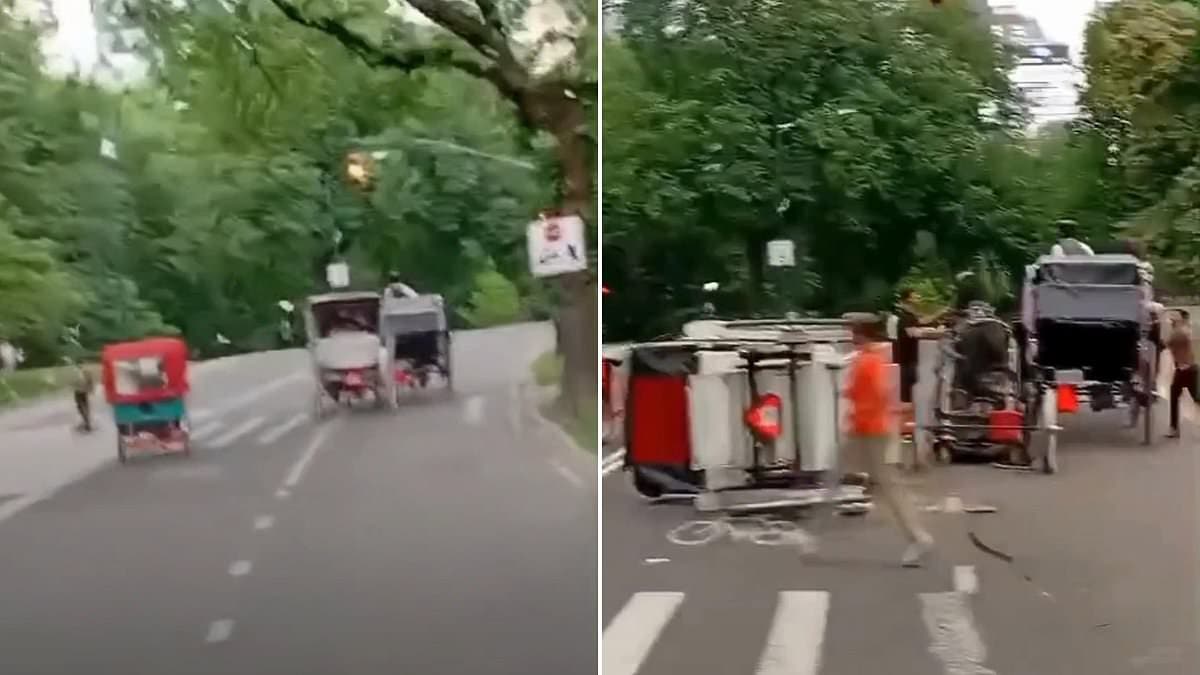 Teenage tourist killed after carriage horse bolts from driver in Central Park as terrifying footage shows moment coach flips