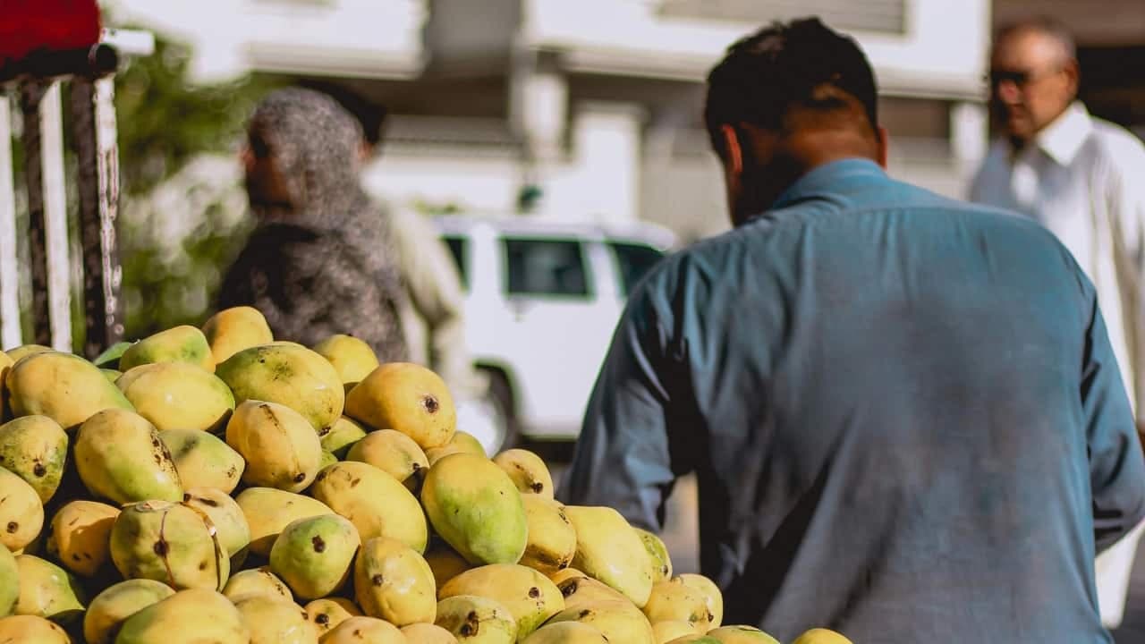 Japan bans Indian mangoes again : How one inspection disrupted a 20 - year trade
