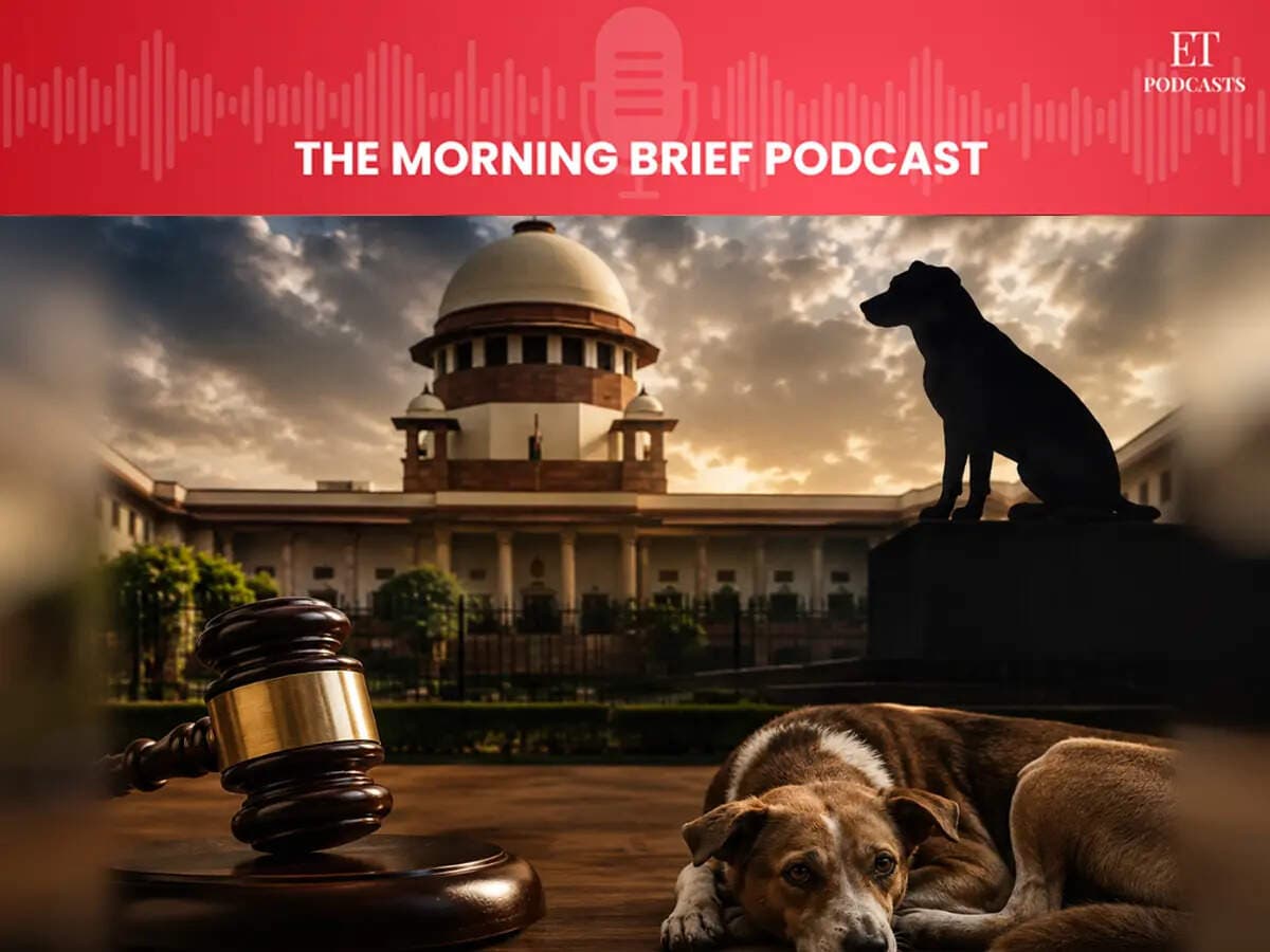 Morning Brief Podcast: Why Doesn't India Know What To Do With Its Stray Dogs?