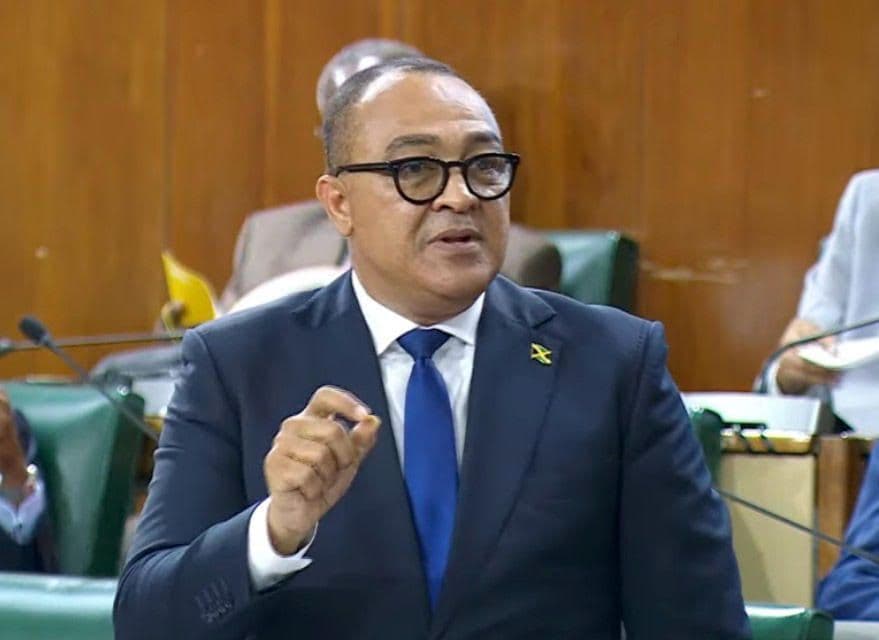 Health Ministry establishes International Recruitment Unit to help fill shortages in specialised areas - IRIE FM