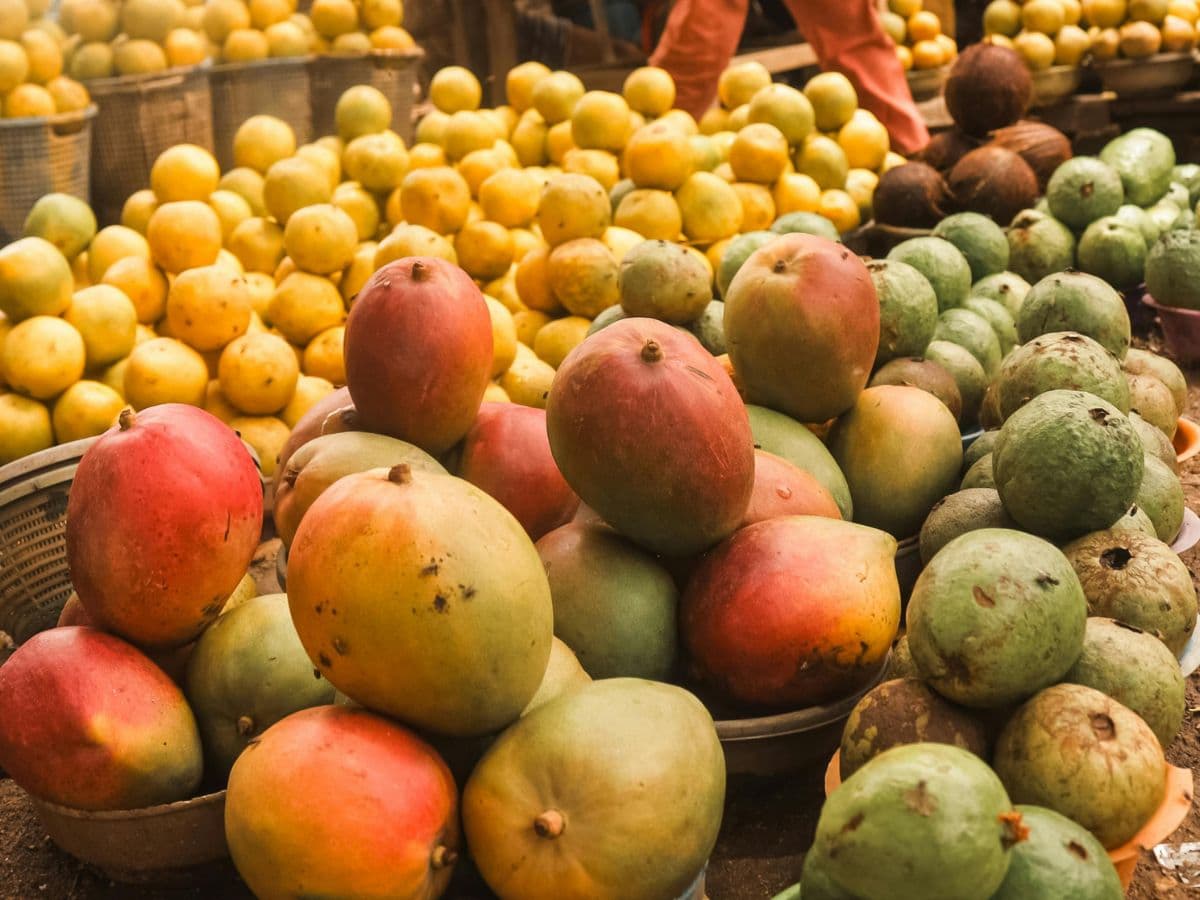 Japan Bans Indian Mangoes After 20 - Year Trade : What Triggered The Move And How Will It Impact Economy ?