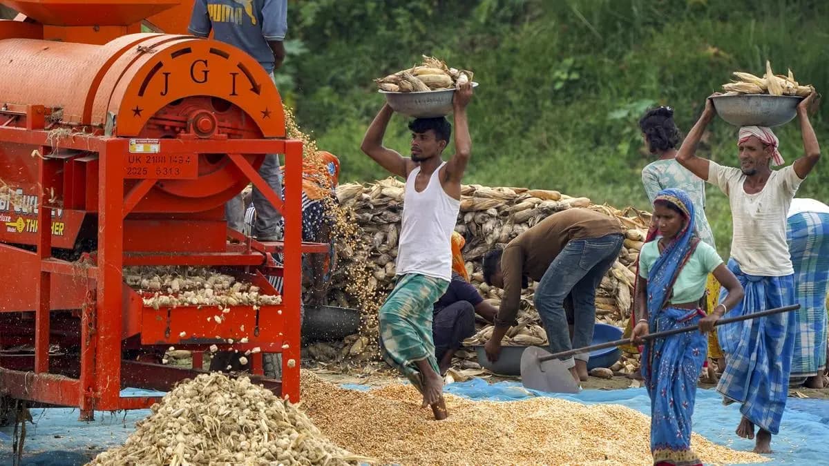 India’s corn exports seen rising to 2.4 million tonnes for MY25-26 on weak prices, says USDA Post