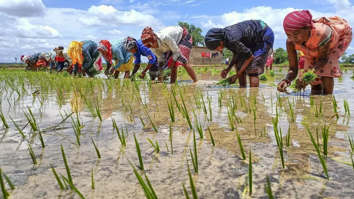 Women’s share of farm workforce rises, but land access lags