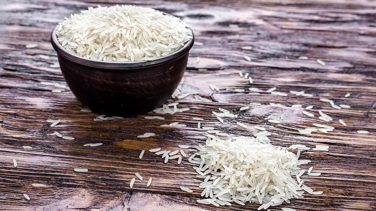 Minimum export price on agri items will lift forex coffers
