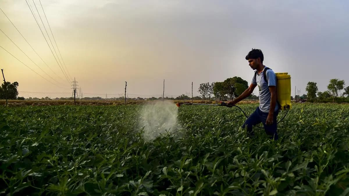 Editorial. Poison in the food