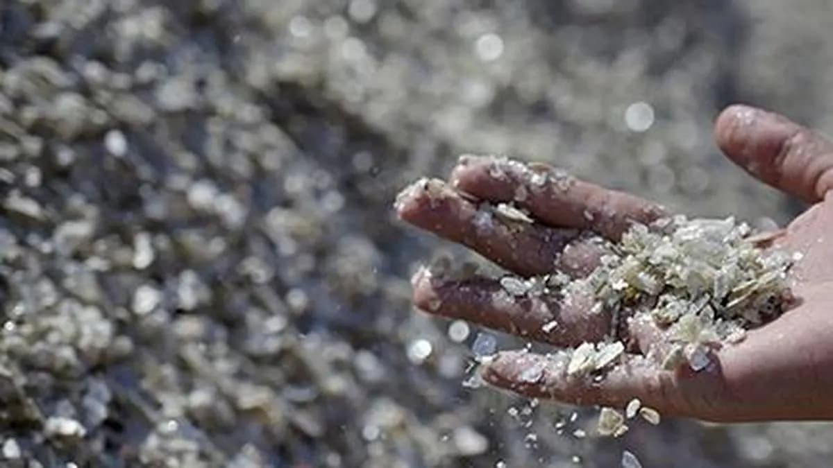 India, Chile struggle to clear critical-mineral hurdle in CEPA talks