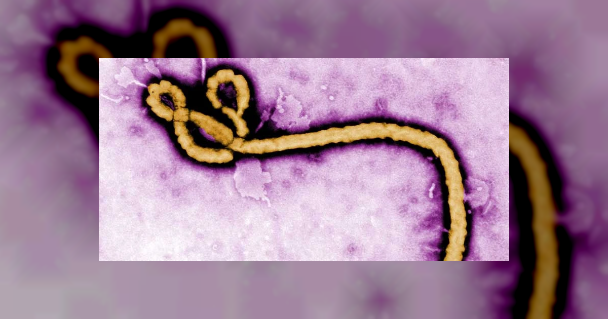 Ebola scare in Bengaluru , Centre issues alert over virus