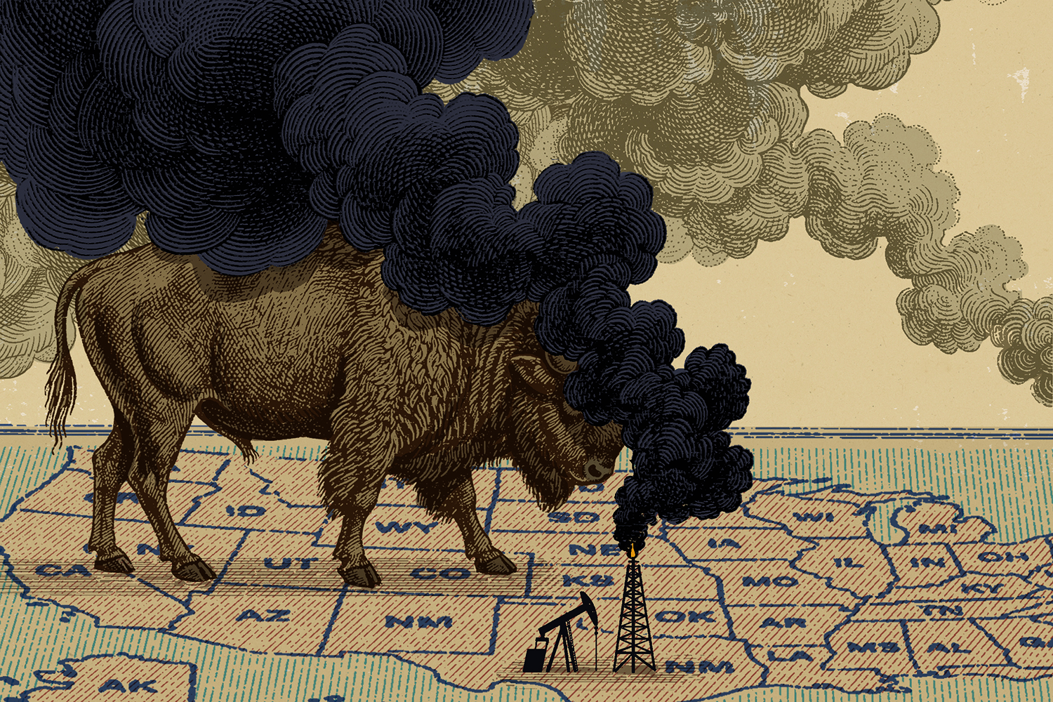 Whales, Cars, Farms, and Parks