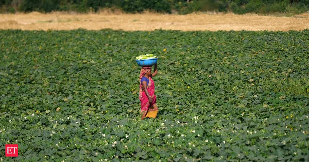 India labour market remodels itself bit by bit as agri slowly cedes ground, workforce moves on