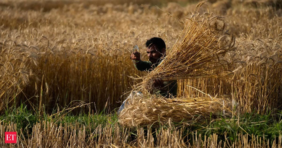 India books phosphate fertilizer at 40% above pre-war prices