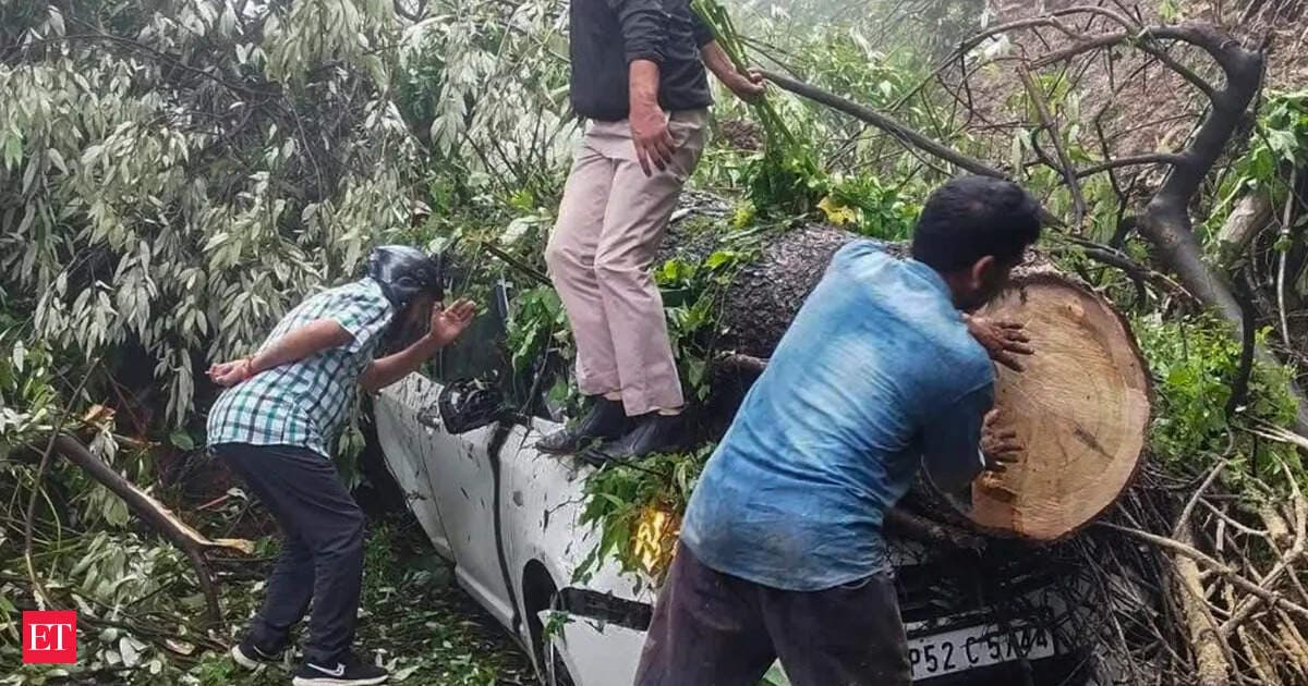 2025 landslide in Shimla Act of God, NHAI tells NGT, rejects compensation claim