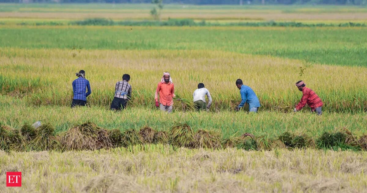 East, Central India to see most late-monsoon rains; El Nino to persist into 2027: Report