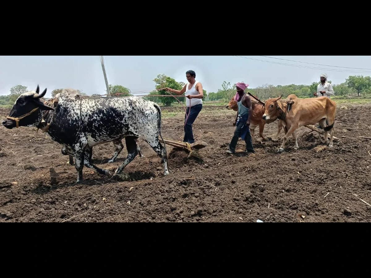 Why partnerships will define India’s agricultural transition