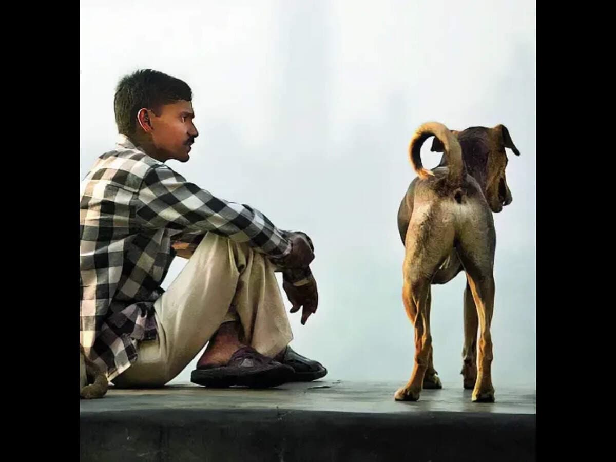 Let cohabiting dogs and humans be