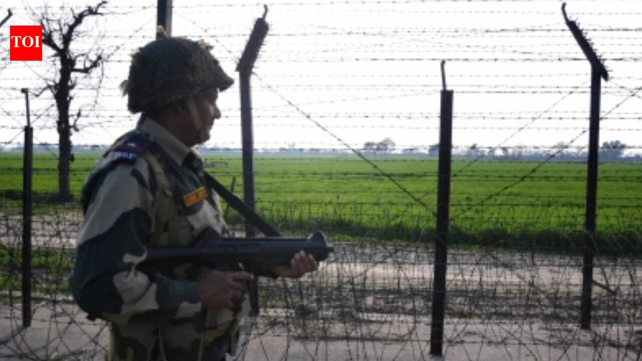 India summons Pak envoy over 'cross-border infiltration', rejects Ferozepur claims