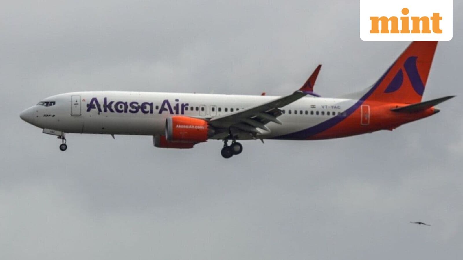Akasa Air triples borrowing limit to ₹3,950 crore, eyes government-backed credit scheme